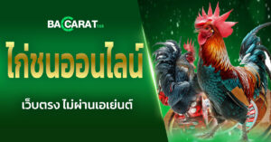 ไก่ชนออนไลน์